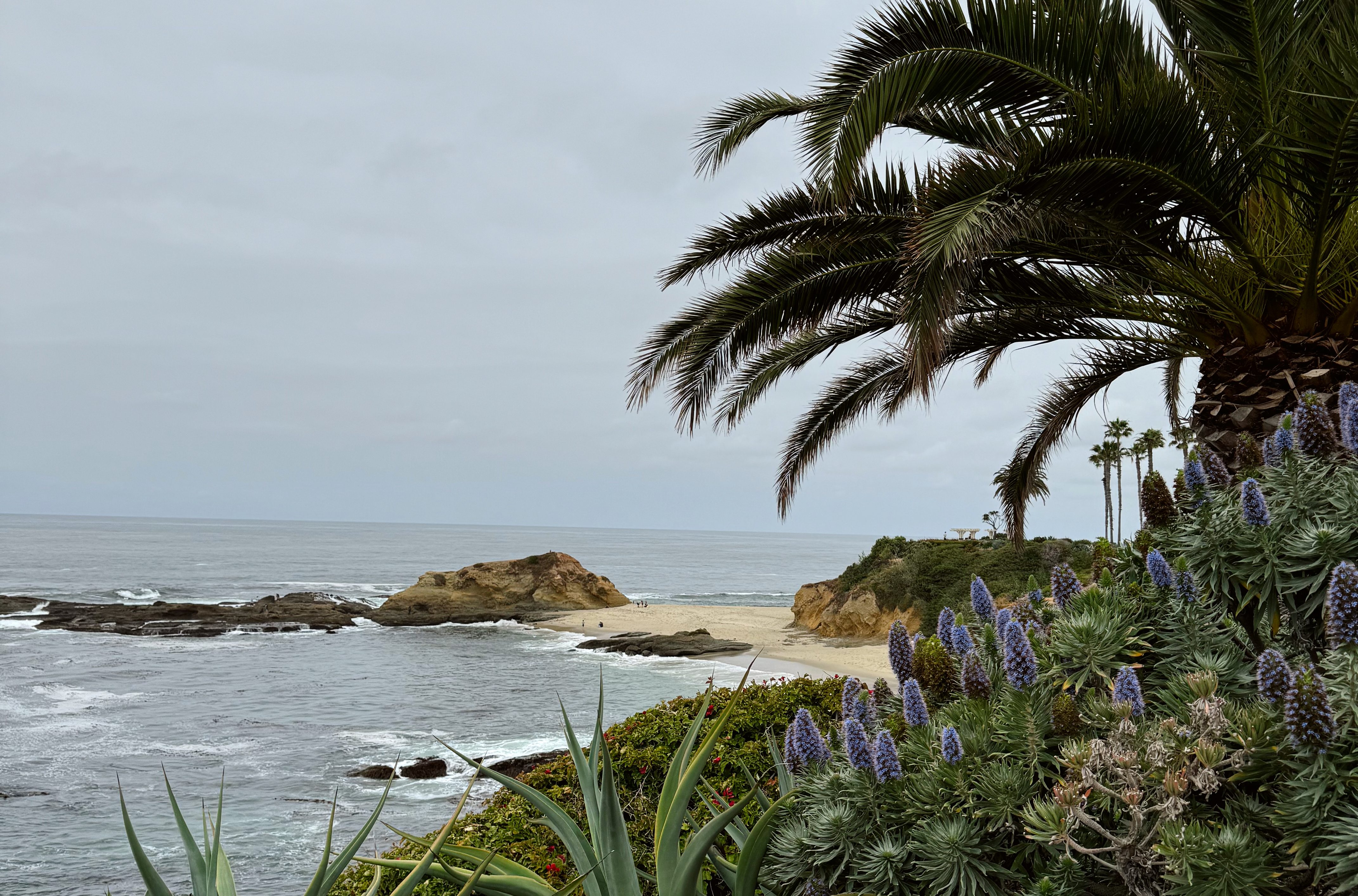 November Events in OC